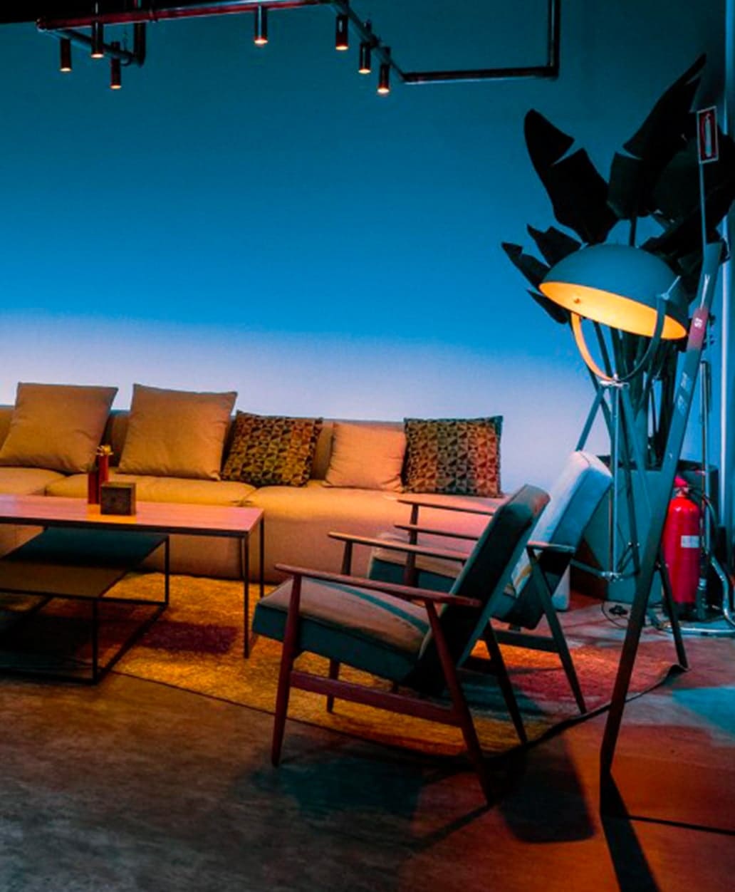 אולמות תצוגה